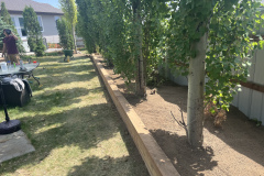 taylor-made-services-13