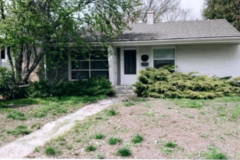 taylor-made-services-yard-care-before